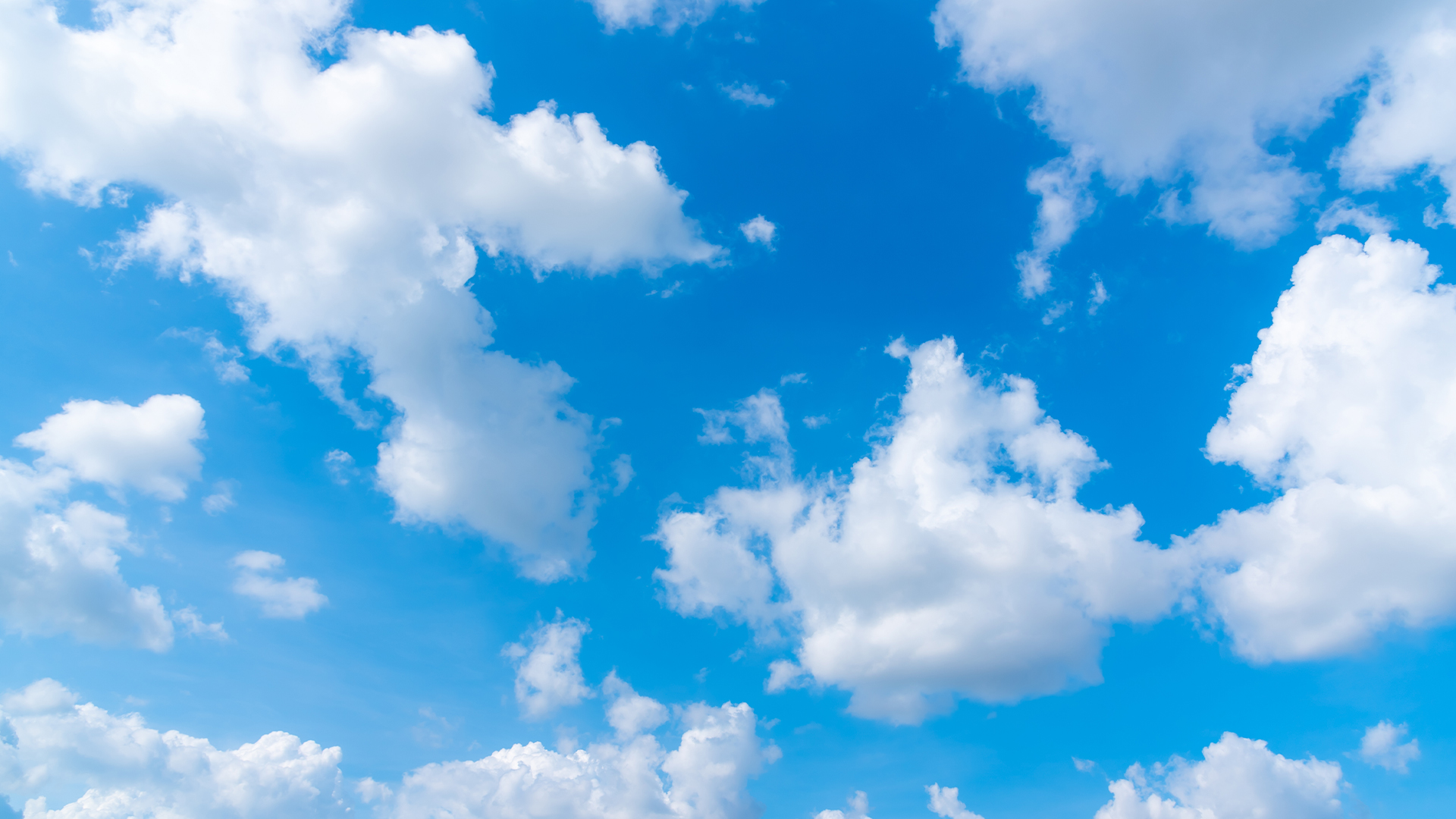 <p>Look <strong>up</strong> at the sky</p>