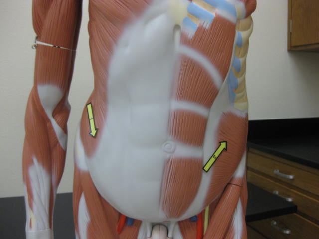 <p>What is at #1?</p>