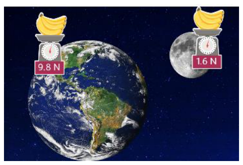 <p>The force of gravity on an object, which depends on mass and gravity ($$1\,kg$$ mass weighs $$9.8\,N$$ on Earth but only $$1.6\,N$$ on the Moon).</p>