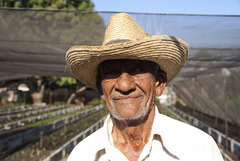 <p>peasant, person from the country, farmer</p>