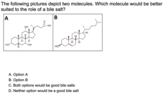 <p>Option A</p>