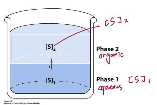 <p>molecules that only have one form</p><ul><li><p>K = [S2]/[S1]</p></li></ul><p></p>
