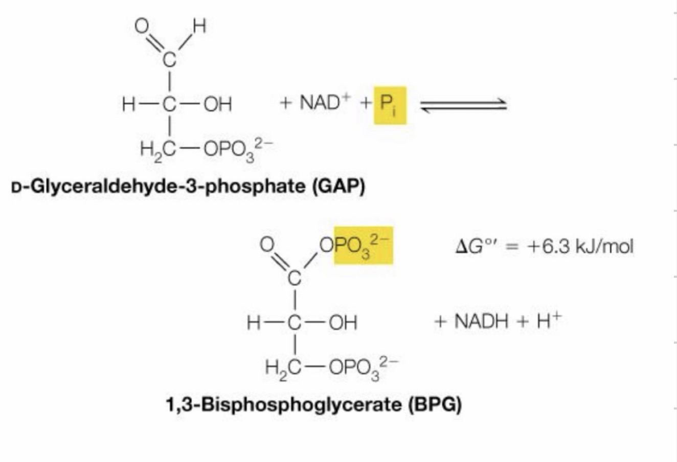 <p>What reaction is this?</p>