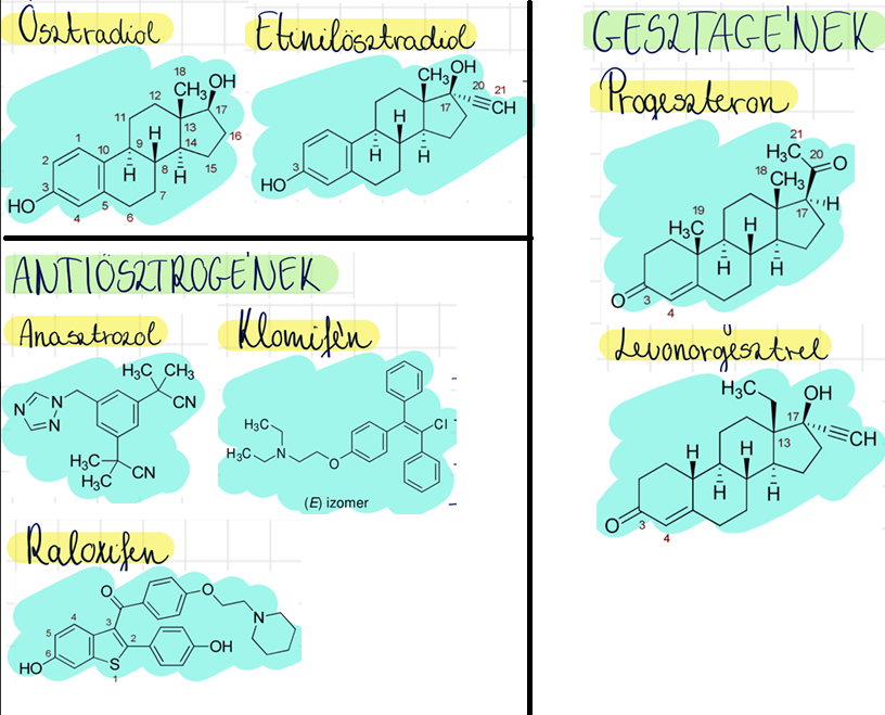 <p>ösztradiol (Estrifem) <br>etinilösztradiol <br>klomifén (Clostilbegyt) <br>raloxifen (Evista) <br>progeszteron (Utrogestan) <br>levonorgesztrel (Escapelle) <br>anasztrozol (Anabrest)</p>