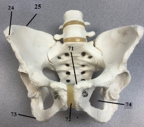 <p>Label these structures</p>