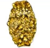 <p><span style="background-color: rgba(0, 0, 0, 0); line-height: 19.7625px;">What is the species in this photo and WHY?</span></p>