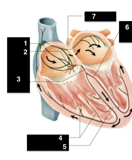 <p>What is #6</p>