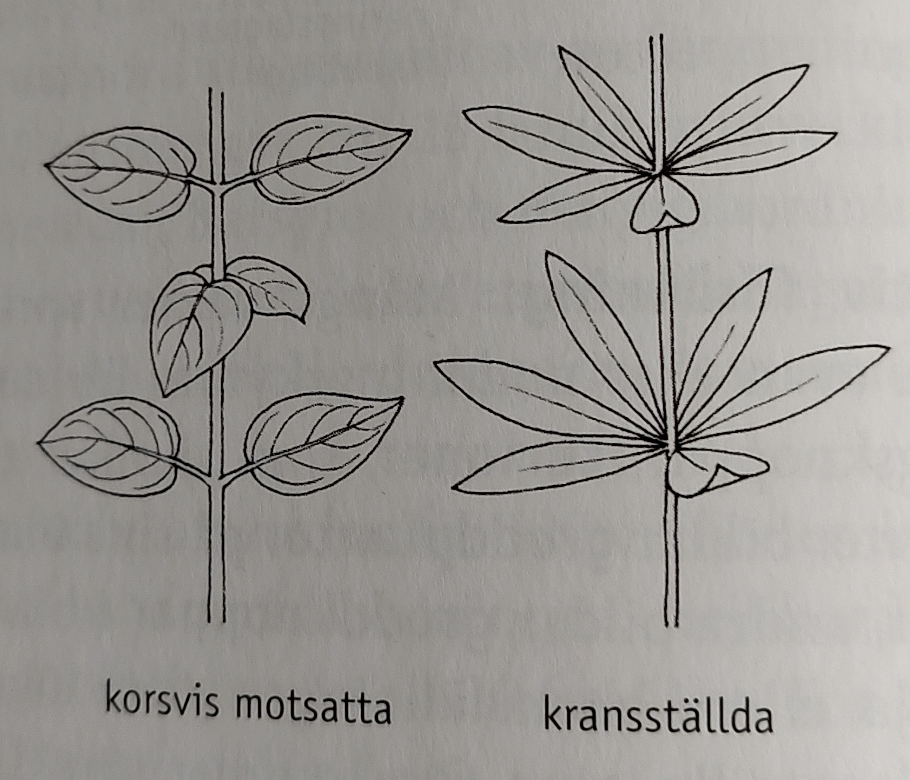 <p></p>