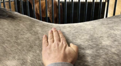 <p>What muscle is being palpated here?</p>