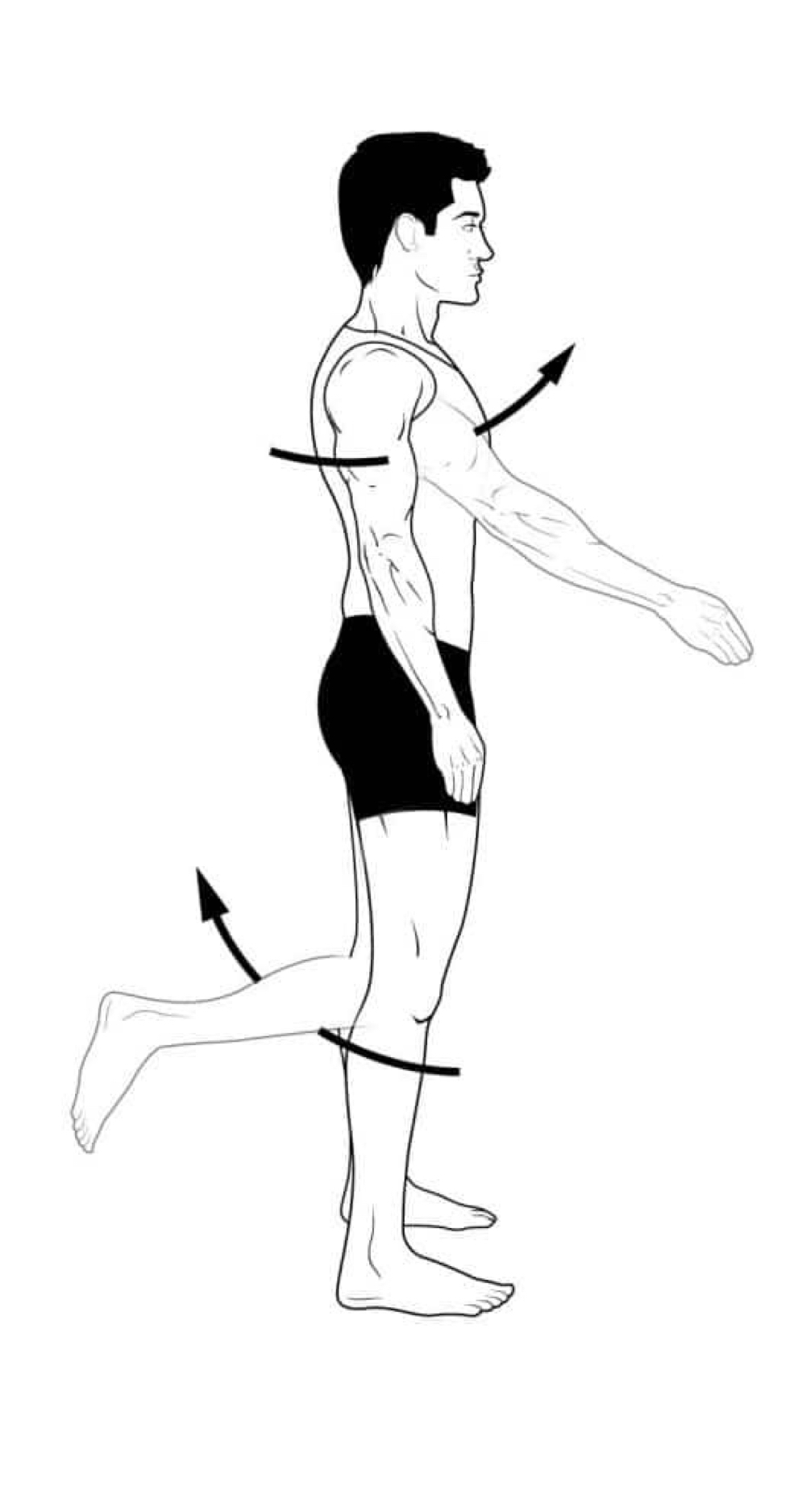 <p>name the muscle action</p>