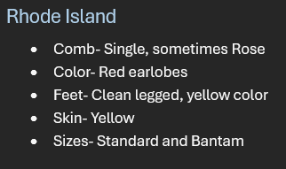 <p>Breed: Rhode Island </p><p>Variety: Red</p>