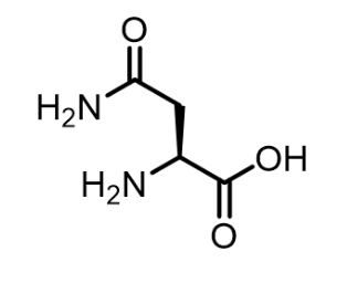 <p>What is this?</p>