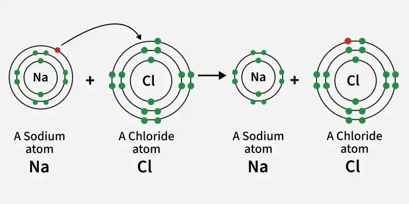 <ul><li><p>some atoms have such different electronegativity that one atom completely pulls an electron away from the other </p></li><li><p>electrons will completely transfer over to highly electronegative atoms </p></li></ul><p></p>