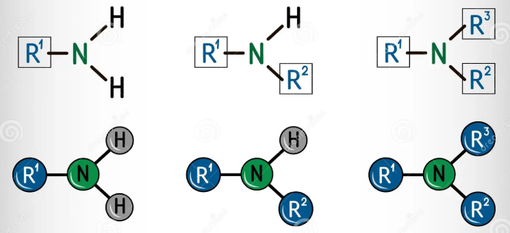 <p>An N(H) attached to a C</p>