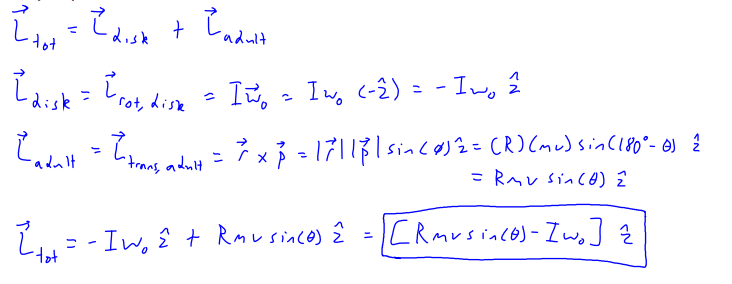 <p>add up the angular momentums from the disk and adult. use Iw for the disk and rp for the adult.</p>