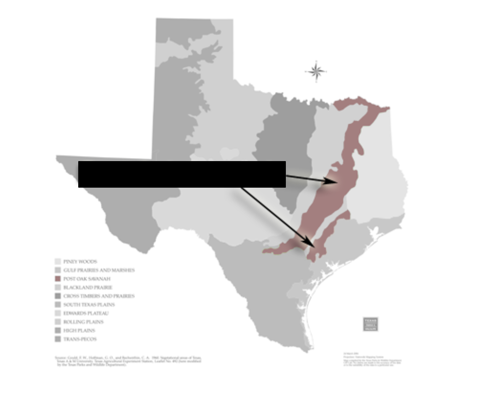 <p>What ecoregion is highlighted on this Texas map?</p>
