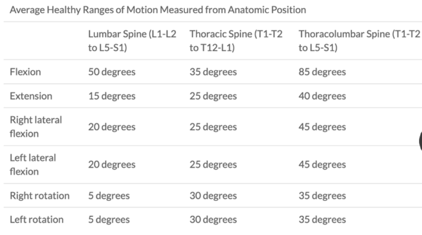 <p>most movement when used in conjunction</p>