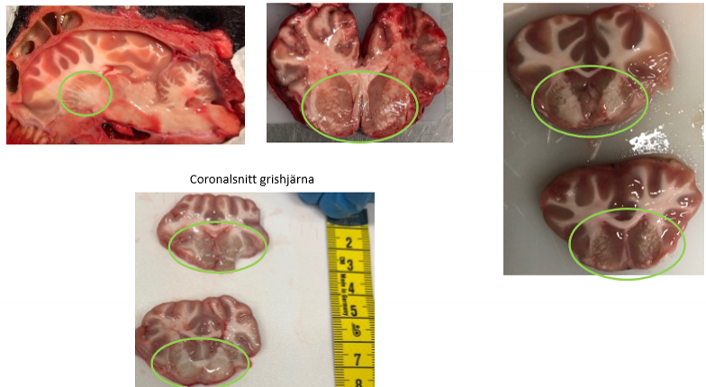 <p>Vad? KALLAS vadå?</p>
