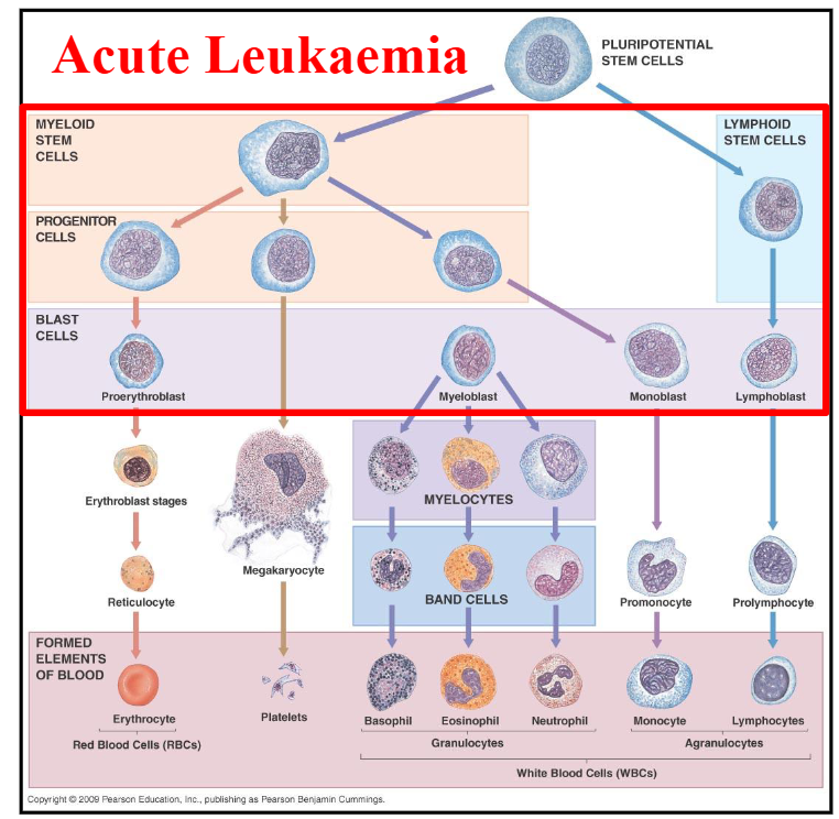 <p>DIAGRAM ON SLIDE 7</p>