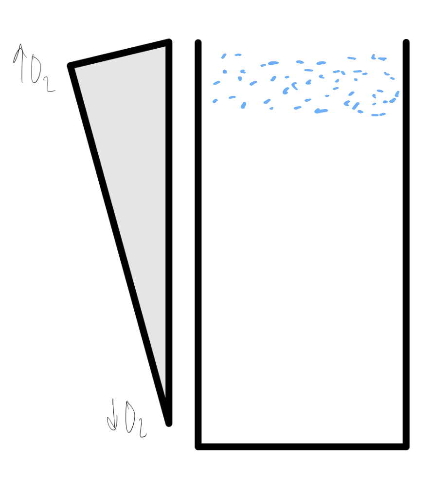<p>What type is this bacterias O2 preference?</p>