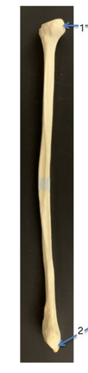 <p>1</p>