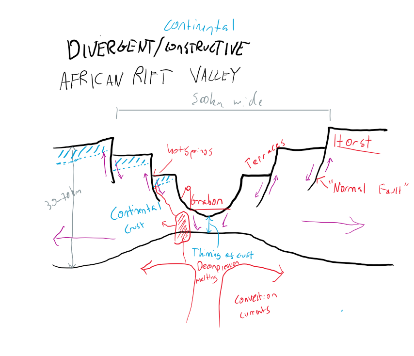 <ul><li><p>Normal faulting</p></li><li><p>Thinning of the crust in the middle creates graben(dip), terraces coming out from graben, fault scarps = vertical displacements of rock</p></li><li><p>Hot springs</p></li><li><p>Mostly shield volcanoes as oceanic magma but sometimes silica from continental makes stratovolcanoes</p></li></ul><p></p>