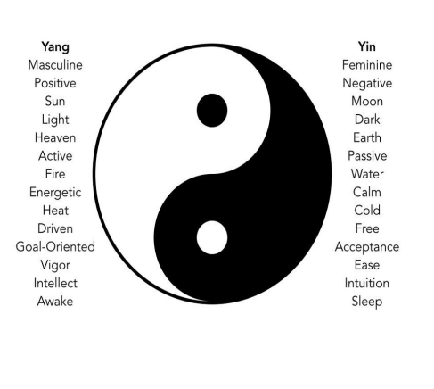 <p>The Dao moves through and works with the dual principles of yin and yang, these direct the flow, the movement of the various forms of life, of Nature, of the Universe at large.<br>Life is about a balance of yin/yang, not a polarization and judgment that one (yang) is good and another (yin) is bad. It’s the dance of duality that is the nature of life, it’s the “natural” way</p>