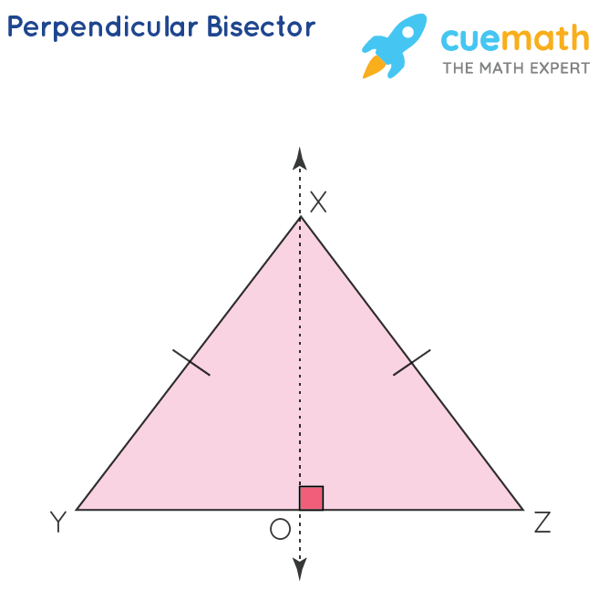 <p>An Object (line segment, etc..) that splits a segment into two equal parts AND it also forms a 90 degree angle on that segment, not from the vertex</p>