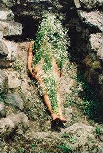 term image