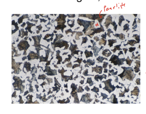 <p>form finer equibilibrium of ferrite and pearlite</p><p></p>