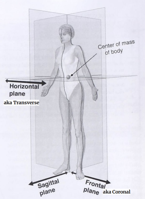 <p><span style="background-color: transparent;">down the center, front and back</span></p>