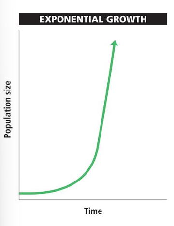 <ul><li><p>Some species reproduce and grow rapidly: plotting this data generates this curve showing exponential growth.<br>- Members reproduce at an early age; many offspring in each generation; time between generations is short</p></li></ul><p></p>