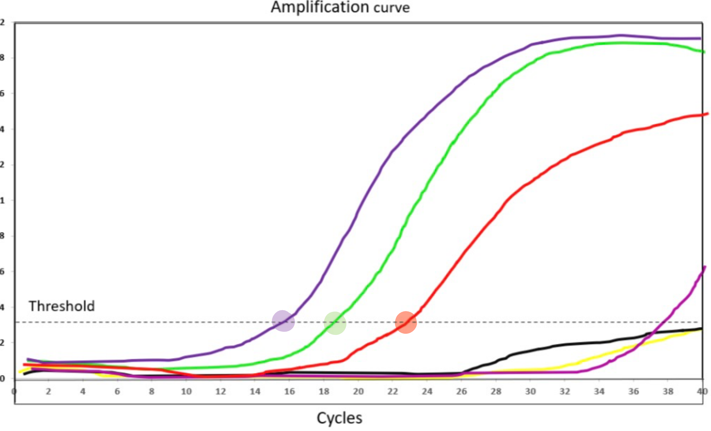 <p>The leftmost, dark-purple curve (Ct ≈16).</p>
