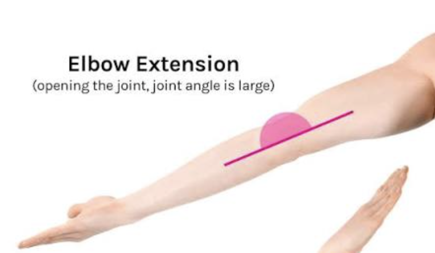 <p>increase of angle between two bones</p>