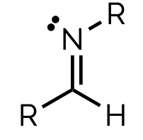 <p>name and suffix</p>