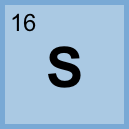 <p>16</p>