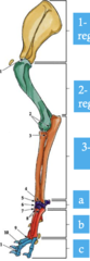<p>What is 1st region?</p>