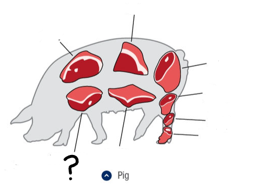<p>What is this cut of meat?</p>