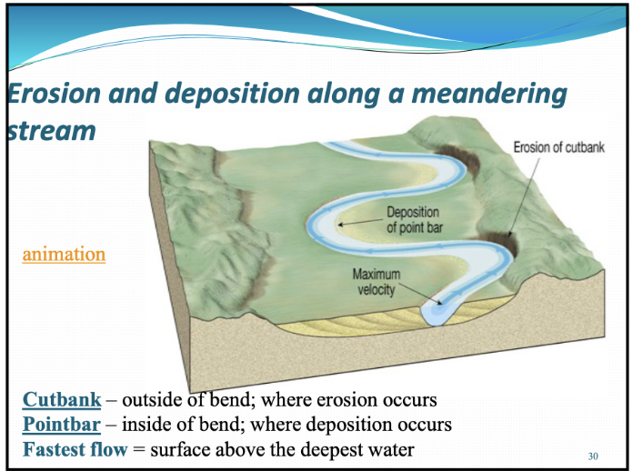 <p><span style="background-color: transparent;">Meanders – curves in the stream</span></p><p><span style="background-color: transparent;">• Cutoff meanders – no longer attached to the stream</span></p><p><span style="background-color: transparent;">• Oxbow lakes – cutoff meanders filled with water</span></p><p><span style="background-color: transparent;">• Meander scar – cutoff meander not filled with water</span></p>