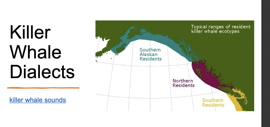 <p>know this example</p>