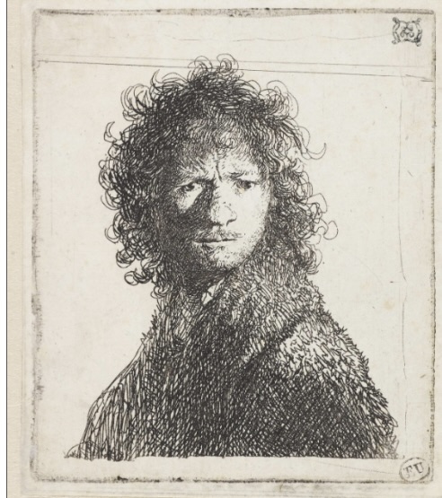 term image