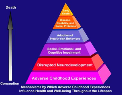 <p>mechanisms by which adverse childhood experiences influence health and well-being throughout the lifespan </p><p><strong>*shows the increases of risk in adverse childhood experiences, it does not lead to outcomes up the pyramid</strong></p>
