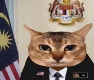 <p>the group of people that control and make laws for a country or specific area</p><p></p><p><em>the ___ are discussing whether to increase business taxes | Hina works for the local ___</em></p>