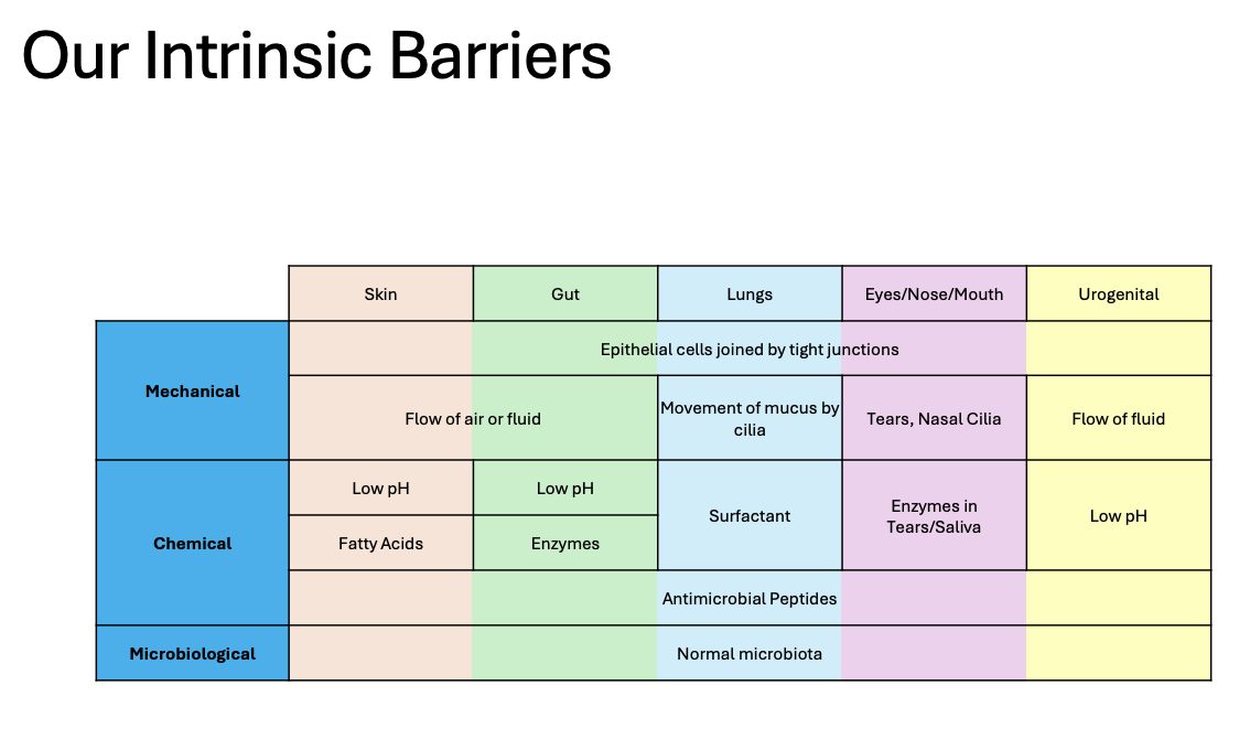 <p>Summary of our intrinsic barriers:</p>