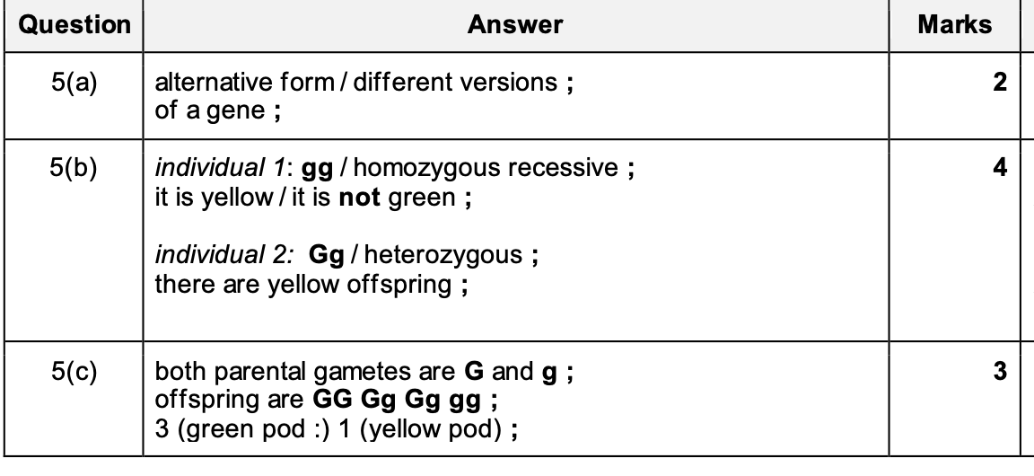<p>Answer</p>