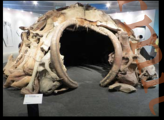 <p>mammoth bone dwelling</p>