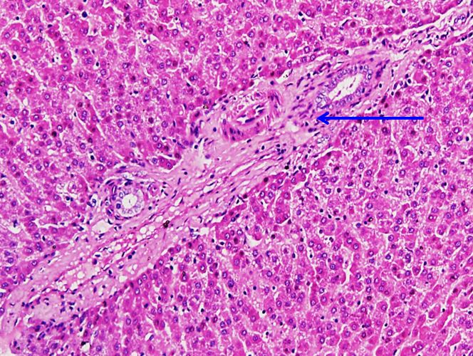 <p>Cấu trúc gì ?</p>