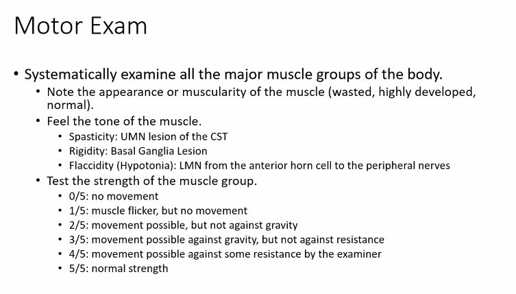 <p>this will be the written portion of the exam. </p>