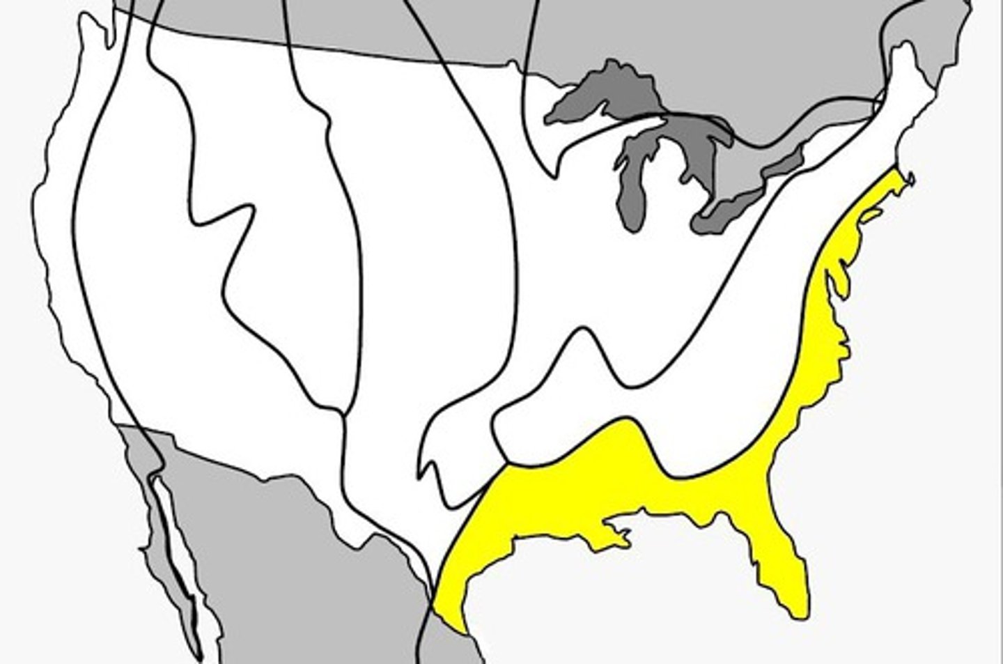<p>A flat or gently sloping area of land located next to the ocean or sea.</p>