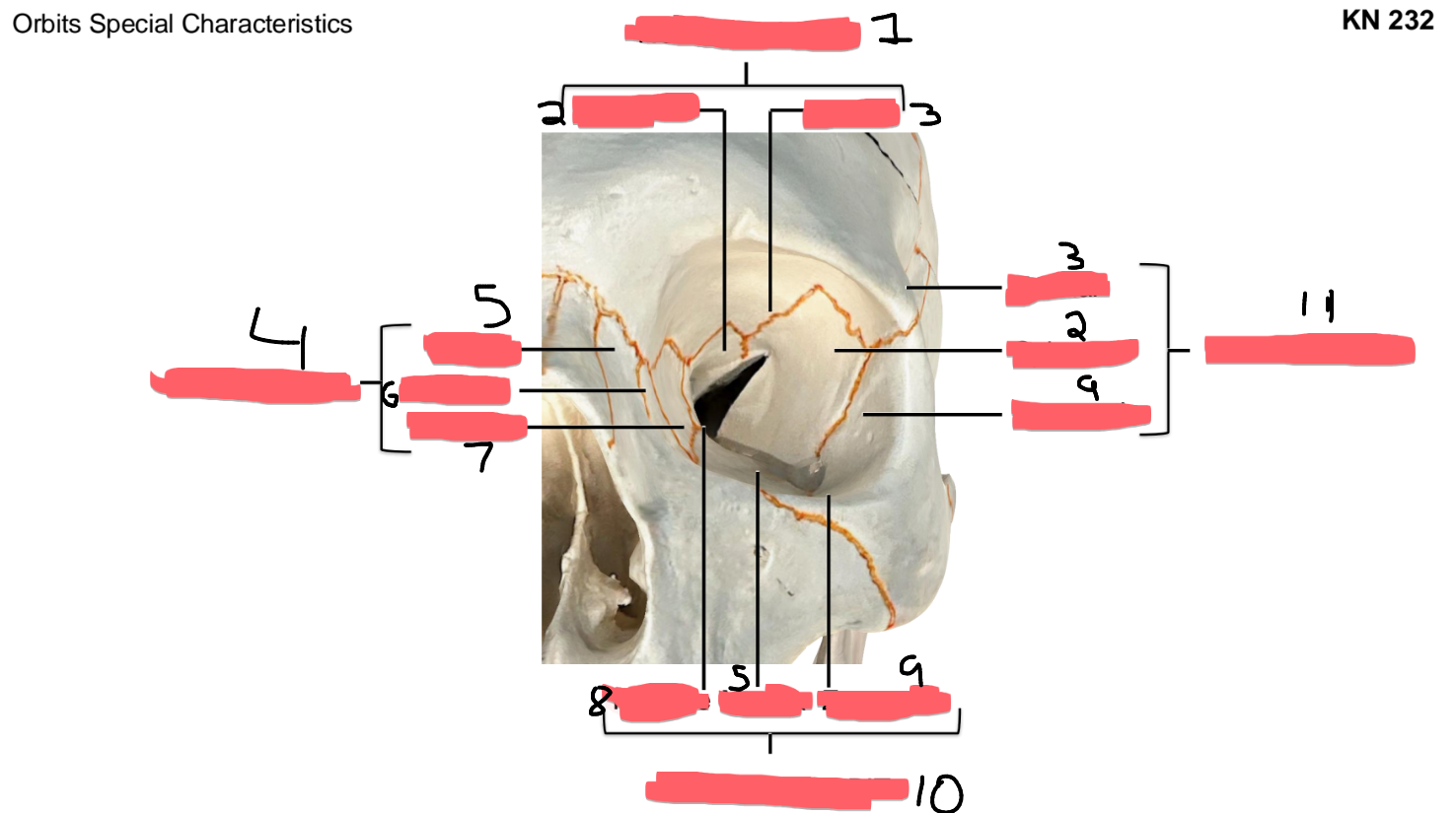 <p>4</p>